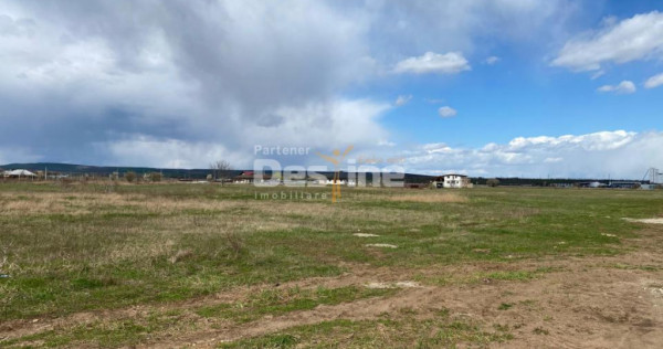 Teren de vanzare Dumbrava Rosie 20.000 Euro 900mp