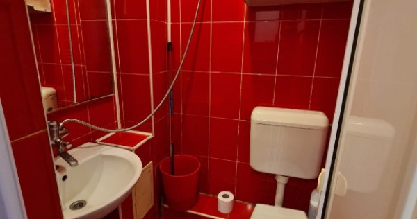 Garsoniera de &icirc;nchiriat Zizinului - Uzina 2