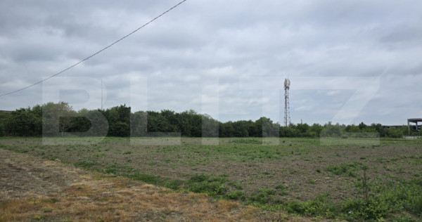 Teren extravilan, 5000 mp, zona Lucian Blaga