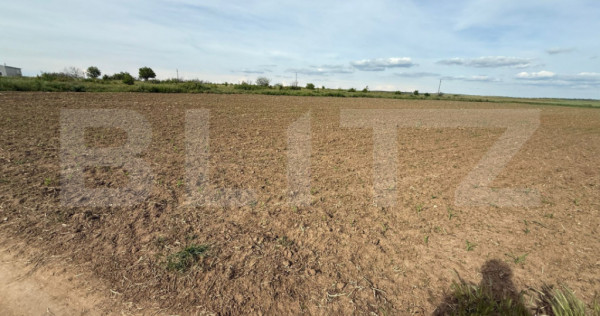 Teren intravilan, 2850 mp, zona Malu Mare