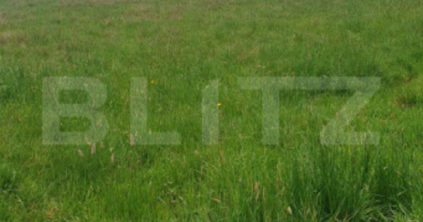 Teren intravilan, 8095 mp, zona Saru Dornei - Vatra Dornei