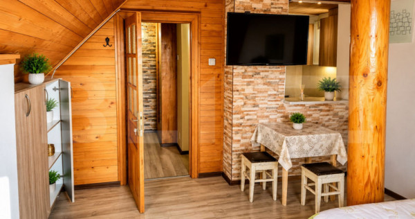 Apartament la mansarda, 1 camera, 25 mp - Piata Morii