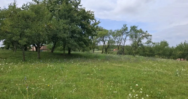 Teren intravilan pentru casă &ndash; 1360 mp, la 10 minute de Zalău