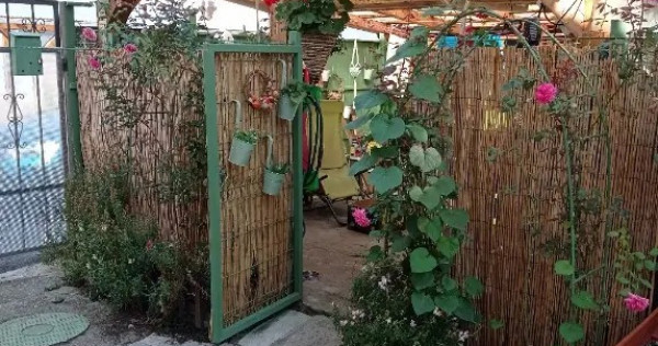 Vand casă pe strada Balantei