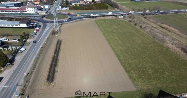 Teren Intravilan 8762 mp Stupini