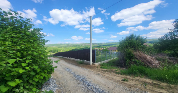 Teren de vanzare Barnova, cu priveliste Vanzare imediata lan