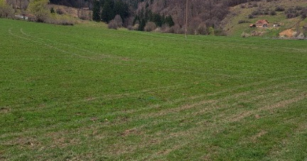 Teren intravilan