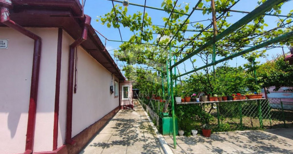 CASA POIANA | PANOURI SOLARE | TEREN 800 MP