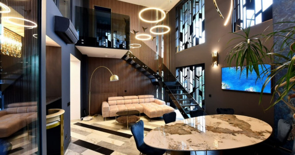 Duplex birou cu curte superb Cloud 9 Pipera