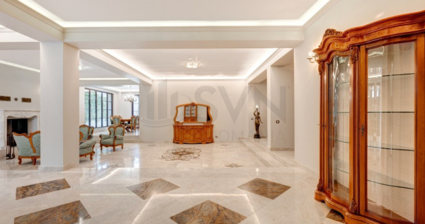 Vila Premium Iancu Nicolae