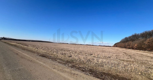 Corbeana - Ostratu 15200 mp langa padure