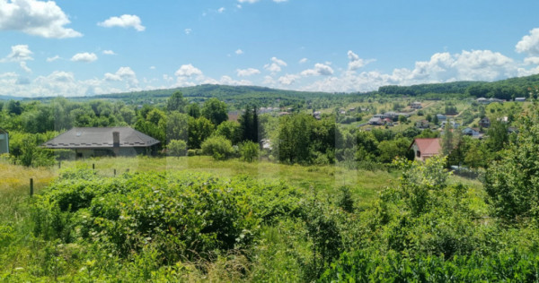 Teren intravilan 30 ari, strada cu utilitati si asfalt, pos
