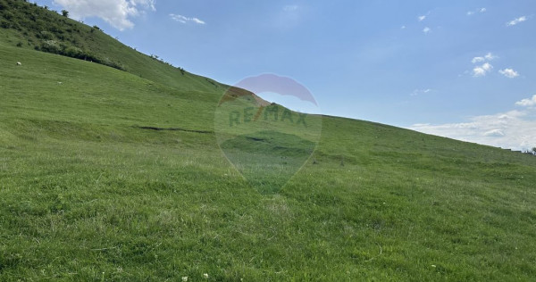 Teren 1,000mp Garcina / Strada Punct Marian
