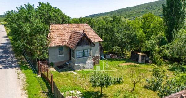 Casă la țară de v&acirc;nzare &icirc;n Livada, comuna Petreștii de Jos