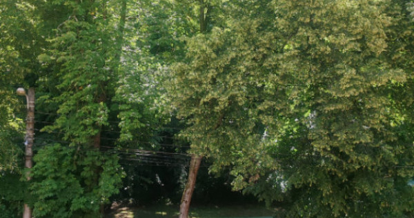 Casă &icirc;n zona Parcul Regina Maria &ndash; oportunitate de inves