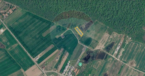 Vanzare Teren Intravilan Padure Izvorani (prin) Strada Fl...