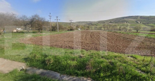 Investitie ! Teren intravilan, 4456 mp, front 30 m, Băișoa