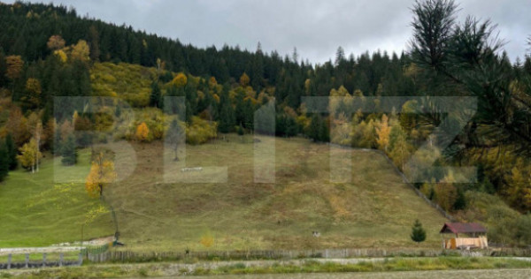 INVESTIȚIE! Teren extravilan, 30360 mp, loc. Broșteni, per