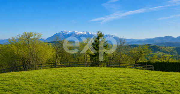 PANORAMA POIANA MĂRULUI | Terenuri cu potențial de dezvolt