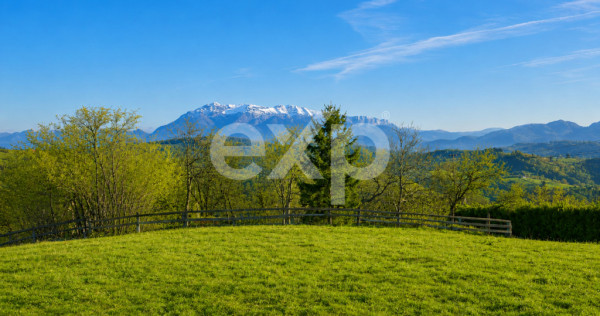 PANORAMA POIANA MĂRULUI | Terenuri cu potențial de dezvolt