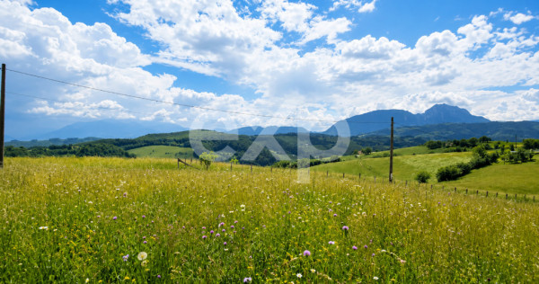 PANORAMA POIANA MĂRULUI | Terenuri cu potențial de dezvolt