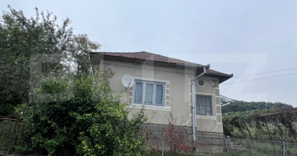 Casă cu potențial deosebit și teren de 3.400 mp &icirc;n Recea