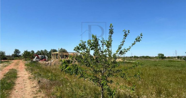 Teren intravilan, Mosnita Noua, 610 mp. Utilitati in apropi