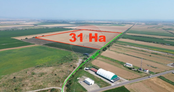 Teren 31HA patrat la drum Vanatori