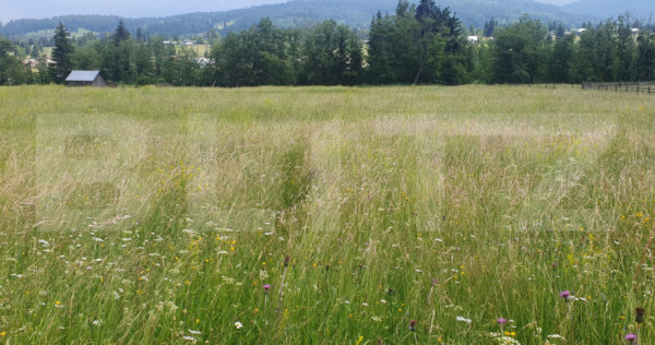 Teren 10.000 mp, intravilan, zona Neagra Sarului