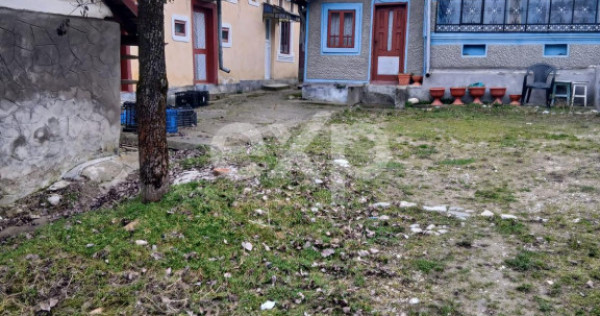 Teren de v&acirc;nzare &ndash; Dragodănești , 1.600 mp