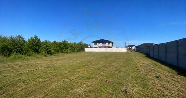Teren intravilan 530 Mp | Albota