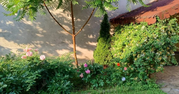 V&acirc;nd casă &icirc;n Petrești Alba