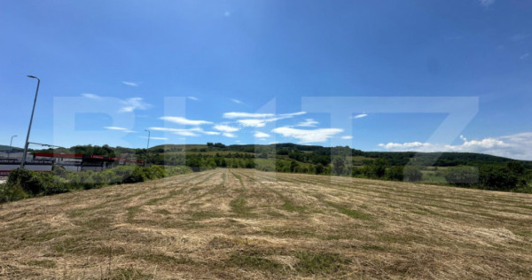 Teren in Cugir 12647mp, 7321mp intravilan si 5326 mp extravi