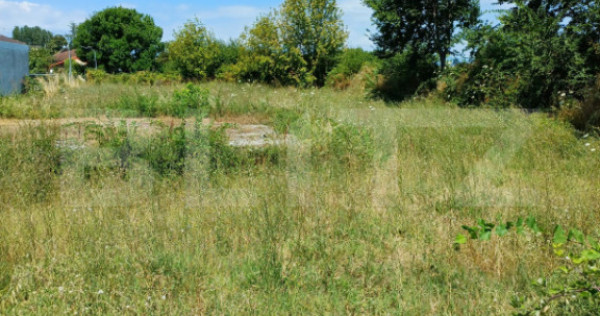 Teren de v&acirc;nzare, intravilan, 20 ari, Moara Nica