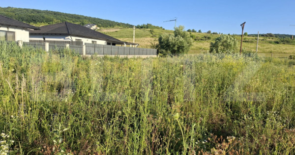 Teren intravilan, 1000 mp, zona Central - Livezeni