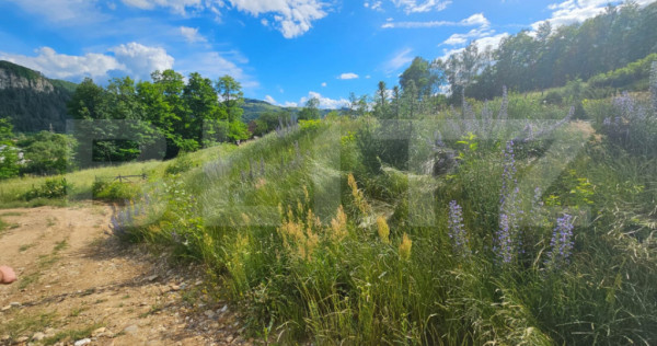 Teren intravilan, 1.000 mp, zona Lupșa