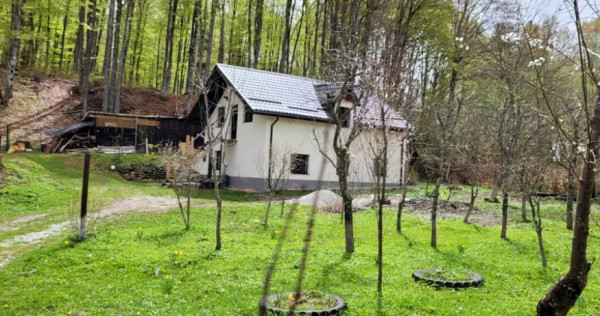 Cabana 4 camere zona Valea Avrigului