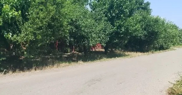 Vand casa Izvoarele