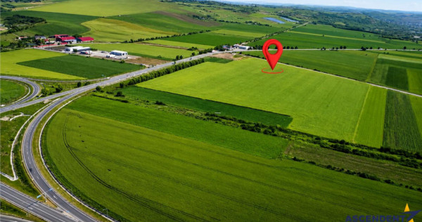 Teren logistic 8.397 mp, Ludus: Vizibilitate si acces direct