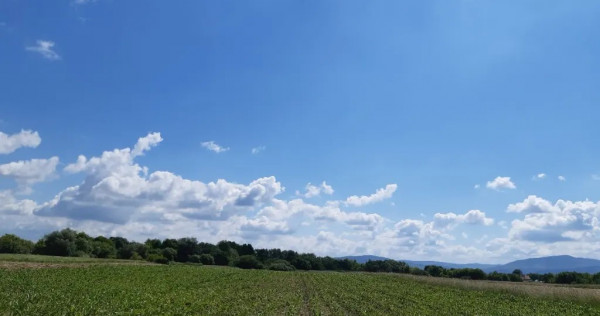 Teren agricol Podu Oltului la limita UAT Prejmer si UAT Harman 20300mp