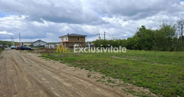 Teren 500 mp intravilan Smeura Stoenari - 4 loturi