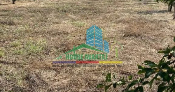 Teren 1500 mp pentru Casă | Petrești, Zonă de Case