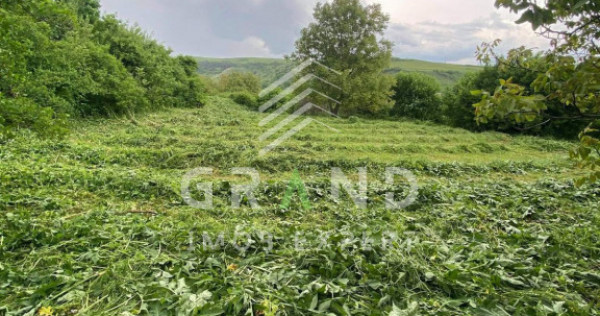 Teren 2200 mp, &icirc;n Rădaia, com Baciu