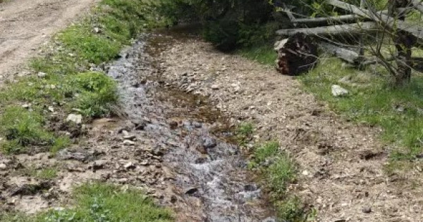 V&acirc;nd teren intravilan in Băișoara