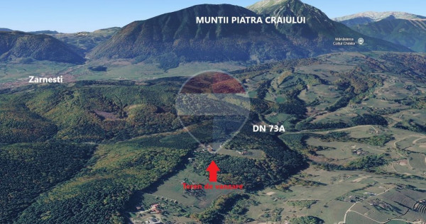 Teren extravilan Poiana Marului 1092mp, inconjurat de padure