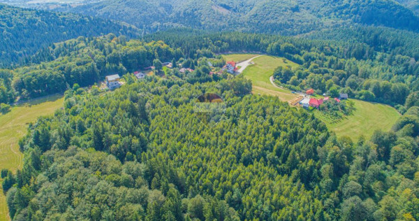 Teren extravilan Poiana Marului 8000mp, inconjurat de padure