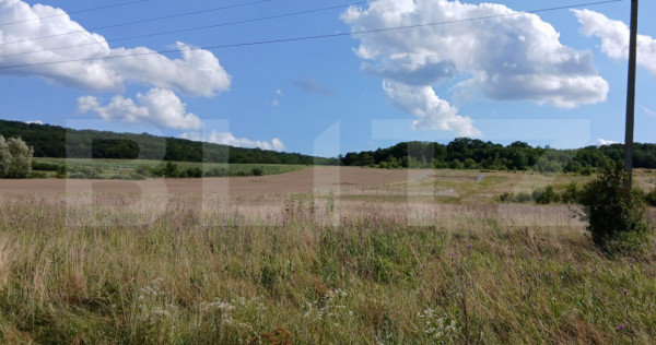 Teren de v&acirc;nzare, 500 mp, zona Livezeni