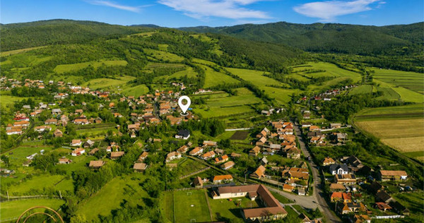 FILM! Domeniu de 6.221mp, livada pomi fructiferi casa si ane