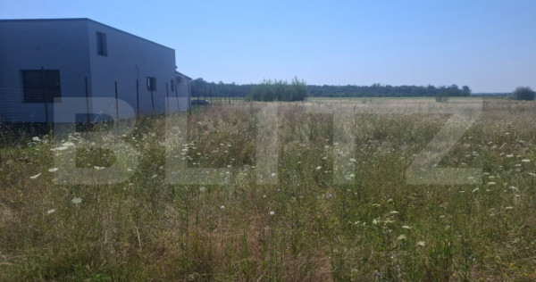 Teren intravilan, 4400 mp, zona Dragomirești