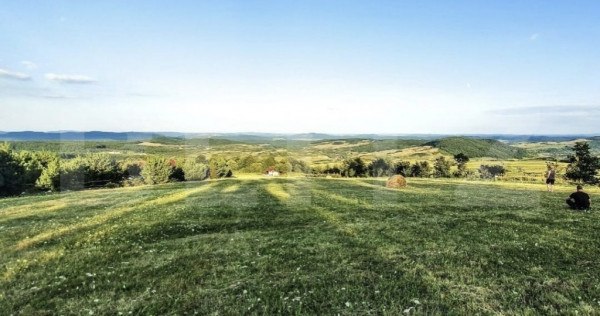 Teren intravilan, 1000 mp, zona Treznea